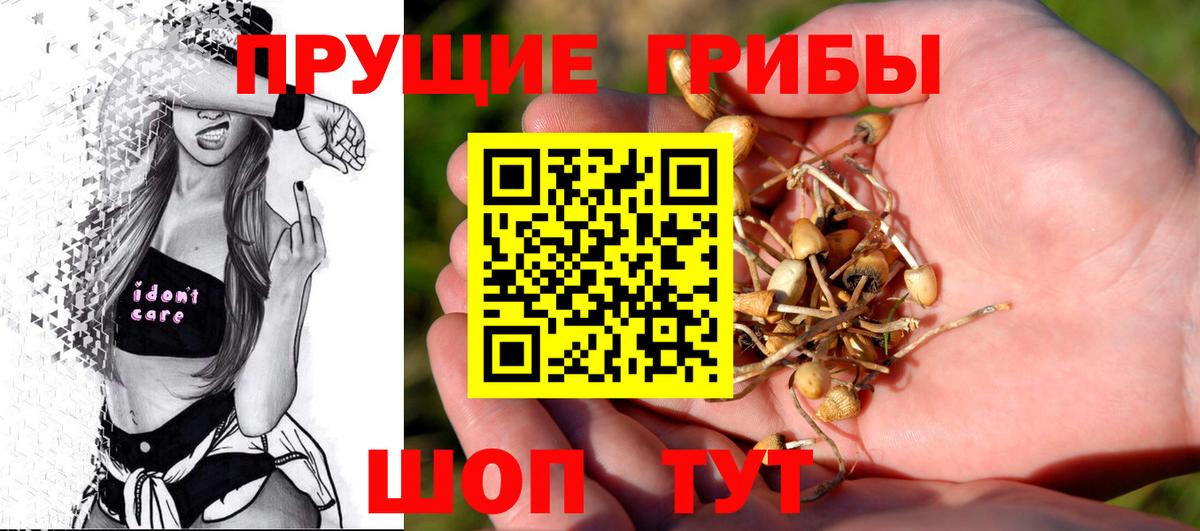 Псилоцибиновые грибы мицелий  Галлюциногенные грибы Magic Shrooms  Печора  Вход с VPN 